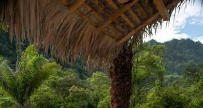 Remote Luxurious Riverside Jungle Retreat/Farmstay