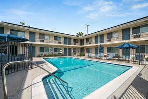 Pool - Clean & Cozy Sunny Pool Retreat! (Los Angeles)