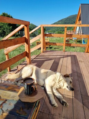 Property grounds - Cottage Tvishi (Tsageri)