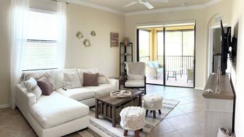 Smart TV, fireplace, DVD player, books