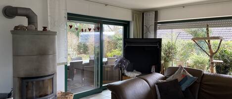 Smart TV, lareira, livros, aparelho de som