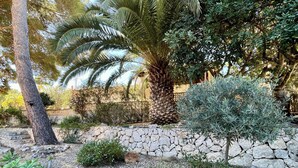 Ein Garten mit einer Steinmauer, verschiedenen Pflanzen und Bäumen.