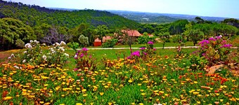 Quinta Sonhos not only for romantic nature lovers, Lagos