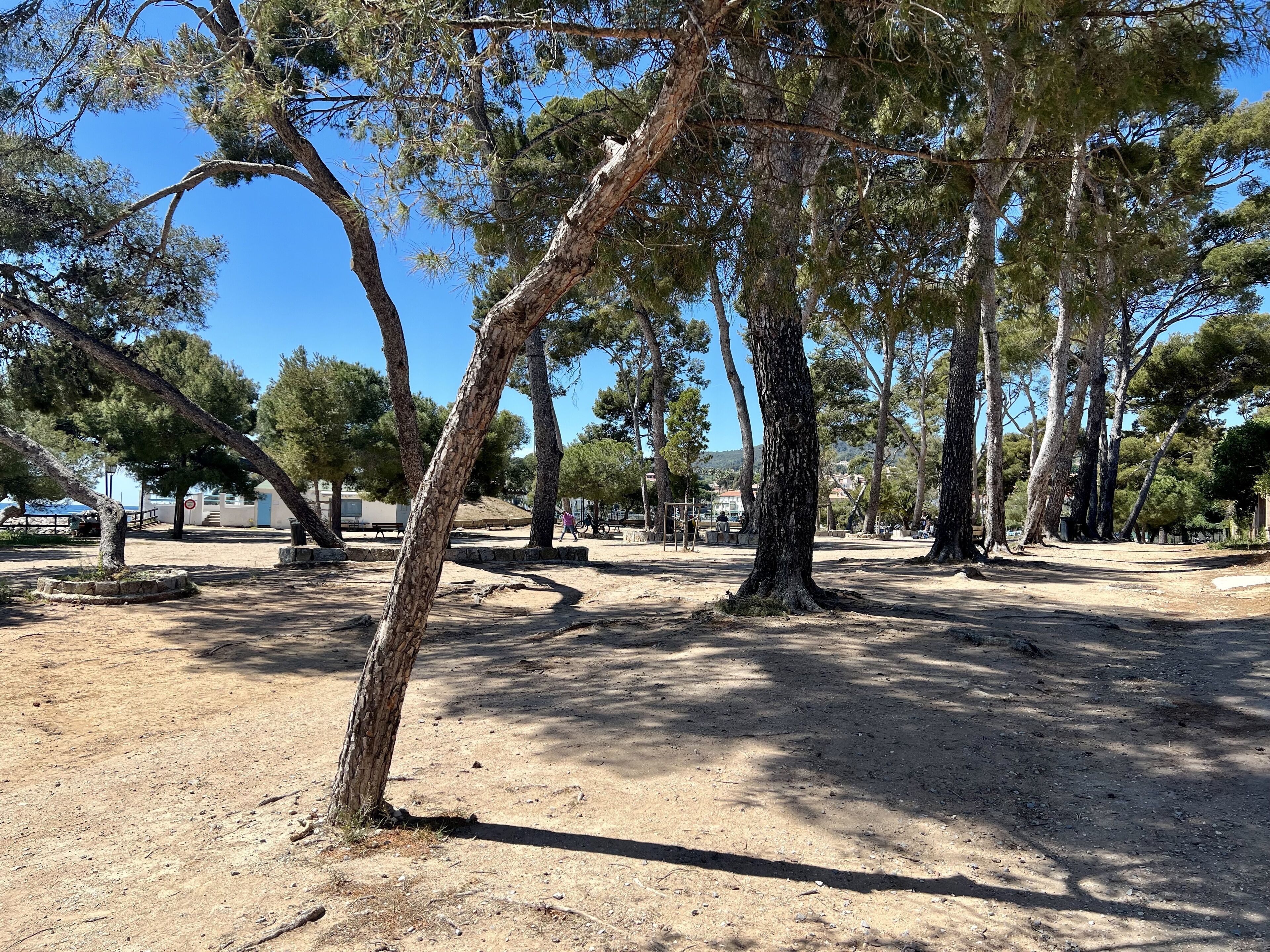 Ein Park mit Bäumen und einem Feldweg.