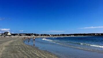 Chaises longues, serviettes de plage