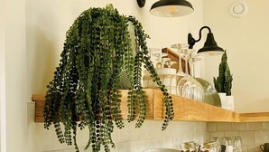 Una cocina con estantes de madera, plantas colgantes y diferentes utensilios de cocina.