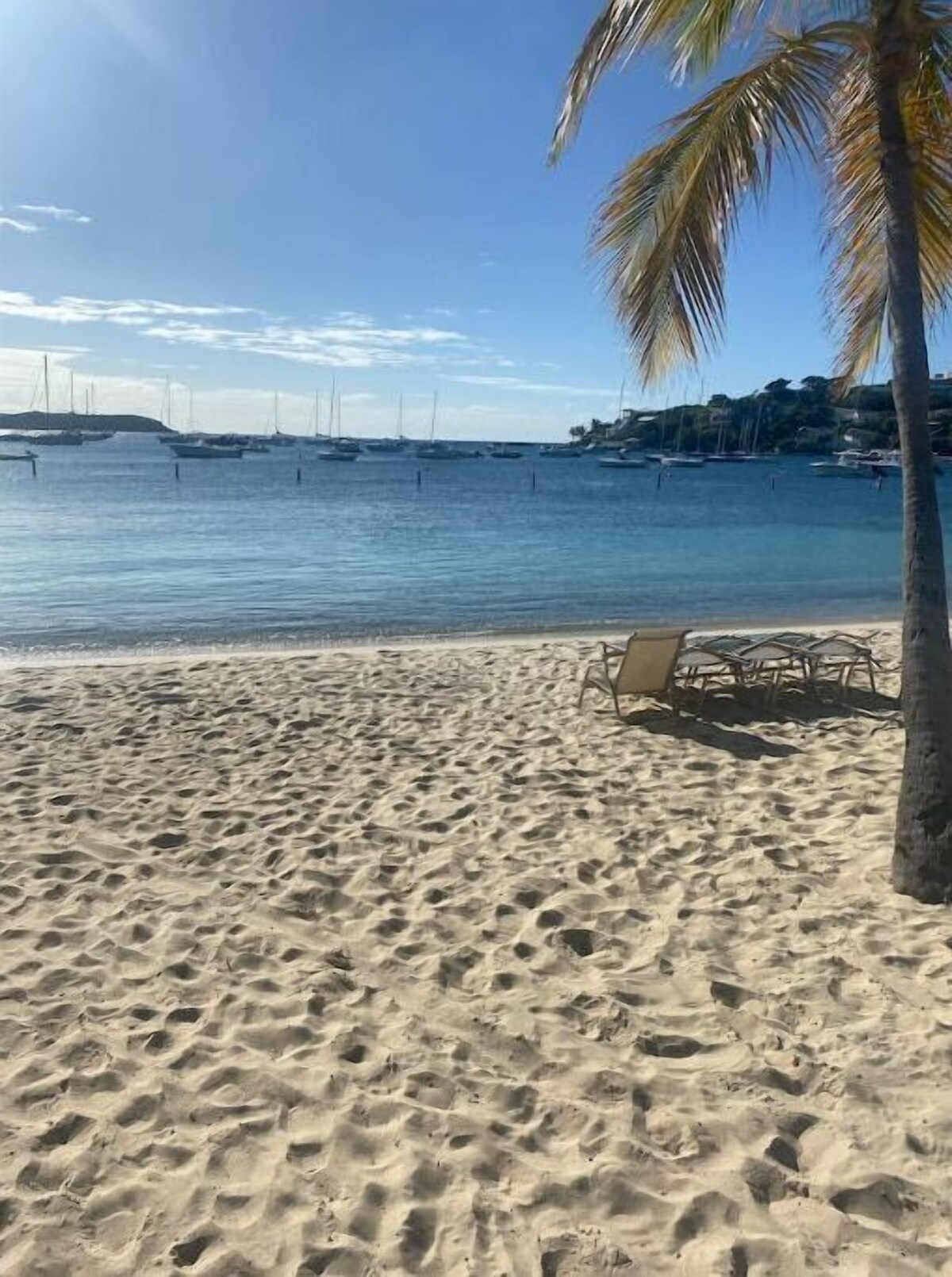 Imagen de perfil del propietario o de la propietaria