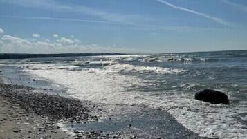 Serviettes de plage