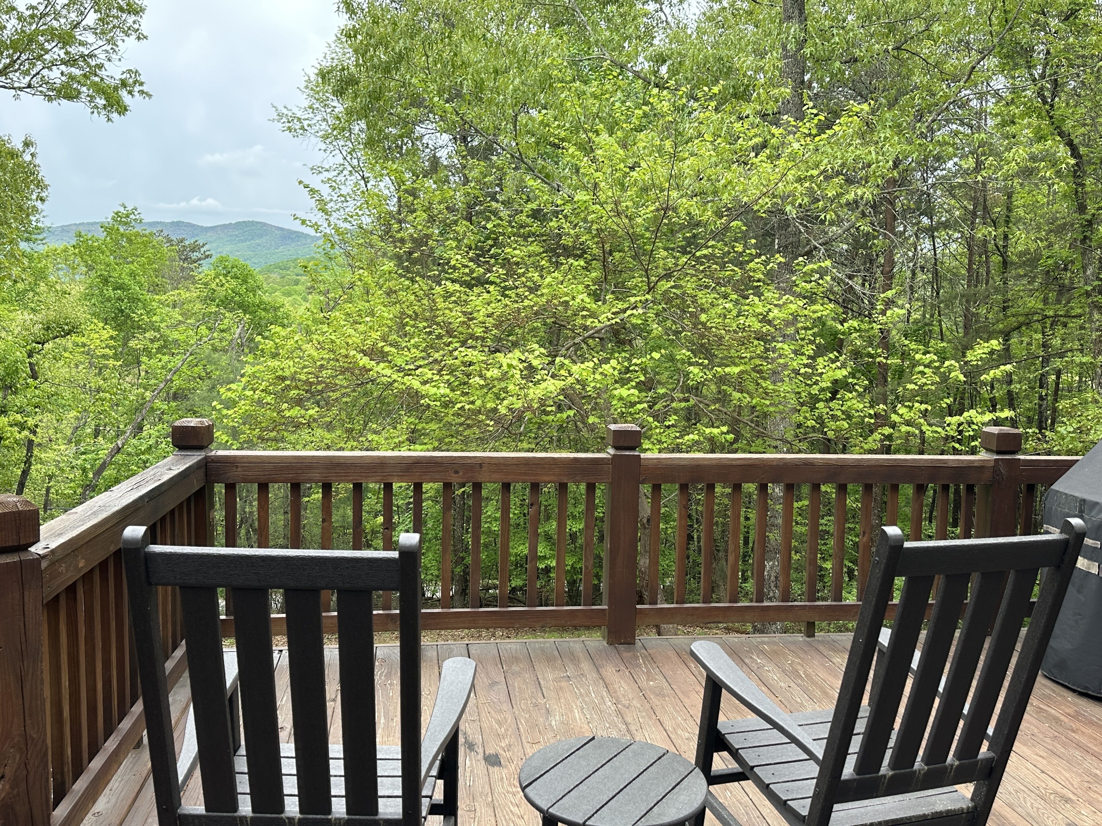 Luxury cabin 15-20 minutes to Downtown Ellijay or Blue Ridge. Hot tub, Fire Pit