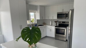 A modern kitchen with white cabinets, stainless steel appliances, and a large green plant on the counter. - Great House in Key Largo (Key Largo)