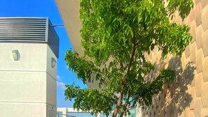 Exterior - Departamento Emporium  (Guayaquil)
