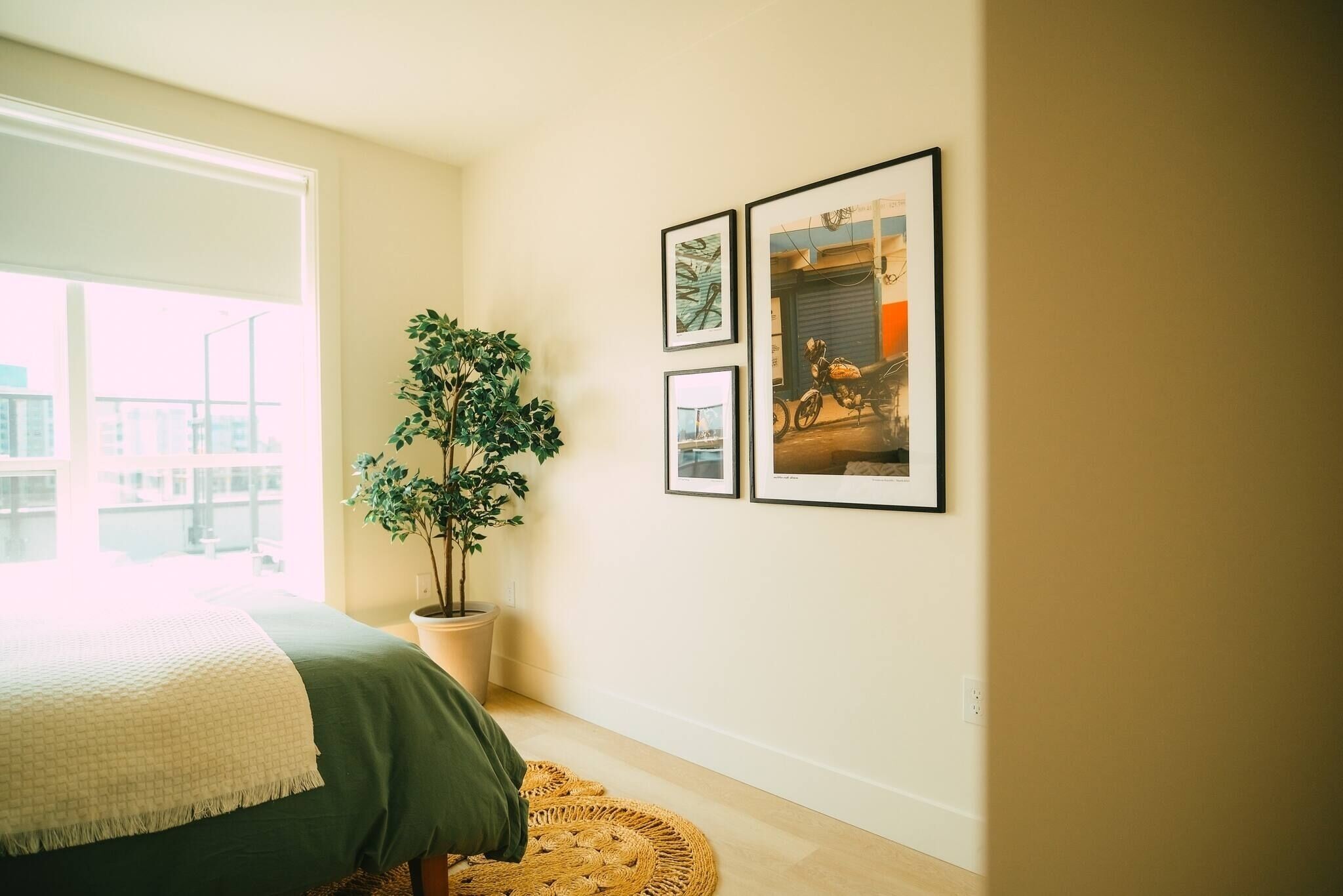 A bedroom with a bed, a potted plant, and framed pictures on the wall.