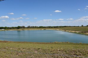 Property grounds - Cozy Mobile Home (Polk City)