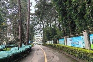 A tree-lined street with a blue sign on the right and a building in the distance. - Yunnan Cadre Sanatorium (Anning)