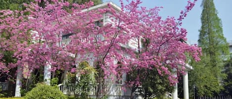 Un edificio con un jardín delantero, rodeado de árboles y un cielo despejado.