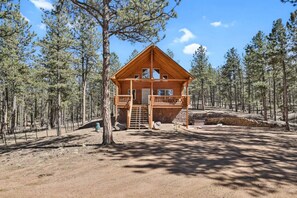 Exterior - Log Cabin, Hot tub, Wood Stove (Florissant)