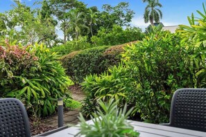 A garden with various plants and a pathway.