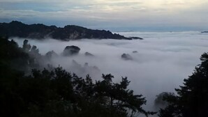 A mountainous landscape with dense fog and forested areas. - Lubianbian Inn (Zhangjiajie)
