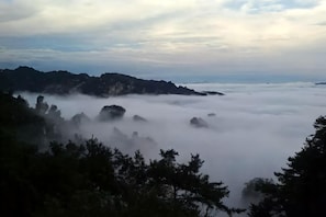 A mountainous landscape with dense fog and forested areas. - Lubianbian Inn (Zhangjiajie)