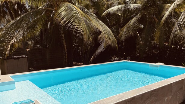Una piscina rectangular con agua azul cristalina, rodeada por una terraza con baldosas y palmeras.