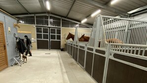 A stable with two horses, a person walking, and a dog near the entrance. - Accomodation, bed and breakfast, equestrian reception Chemin de St Jacques Flamarens Gers (Flamarens)