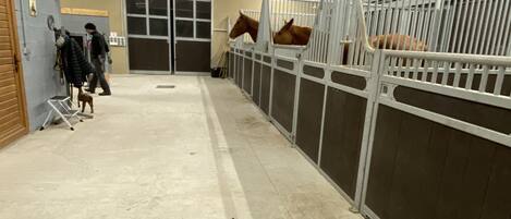 A stable with two horses, a person walking, and a dog near the entrance.