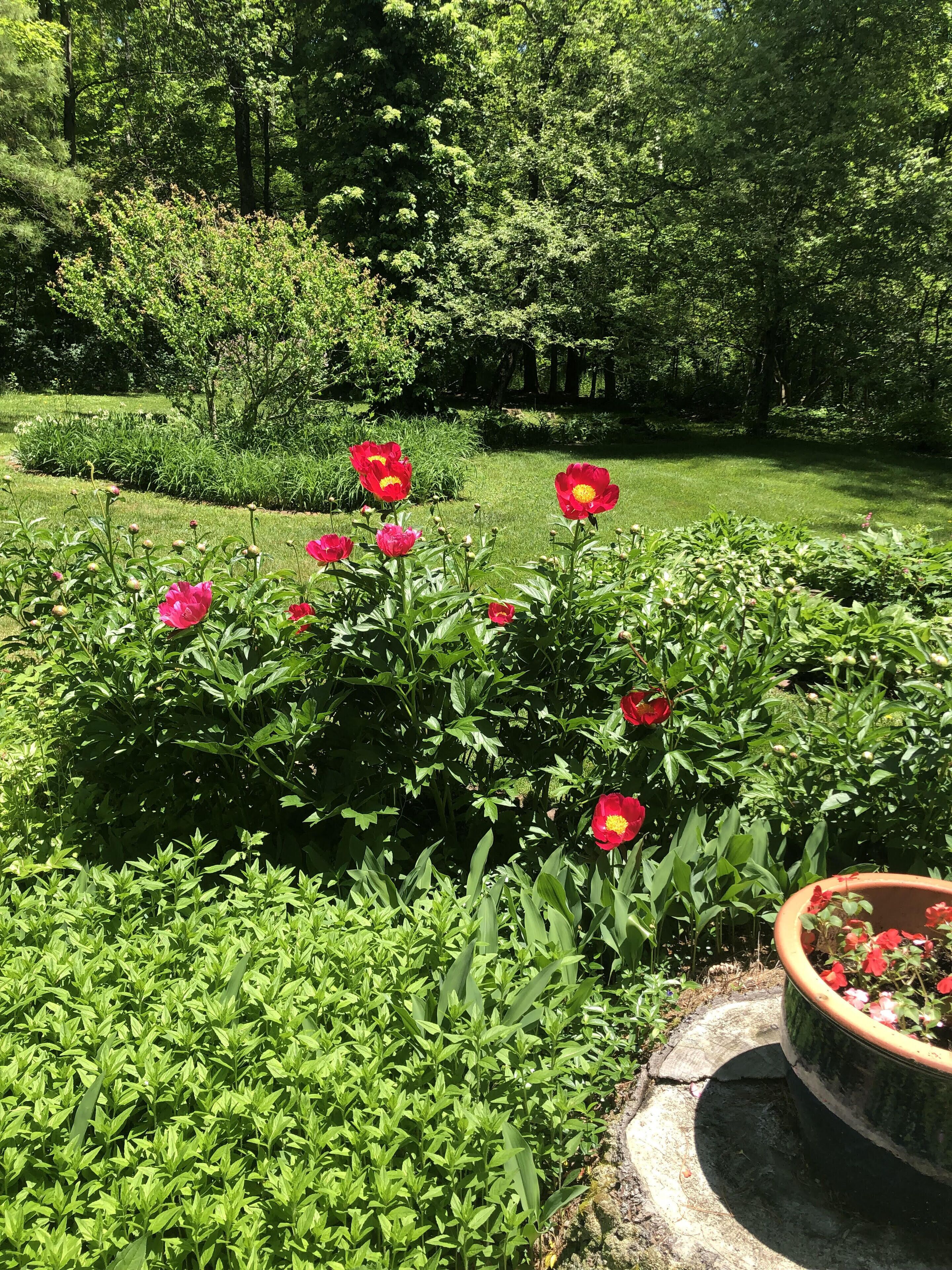 Áreas de la propiedad