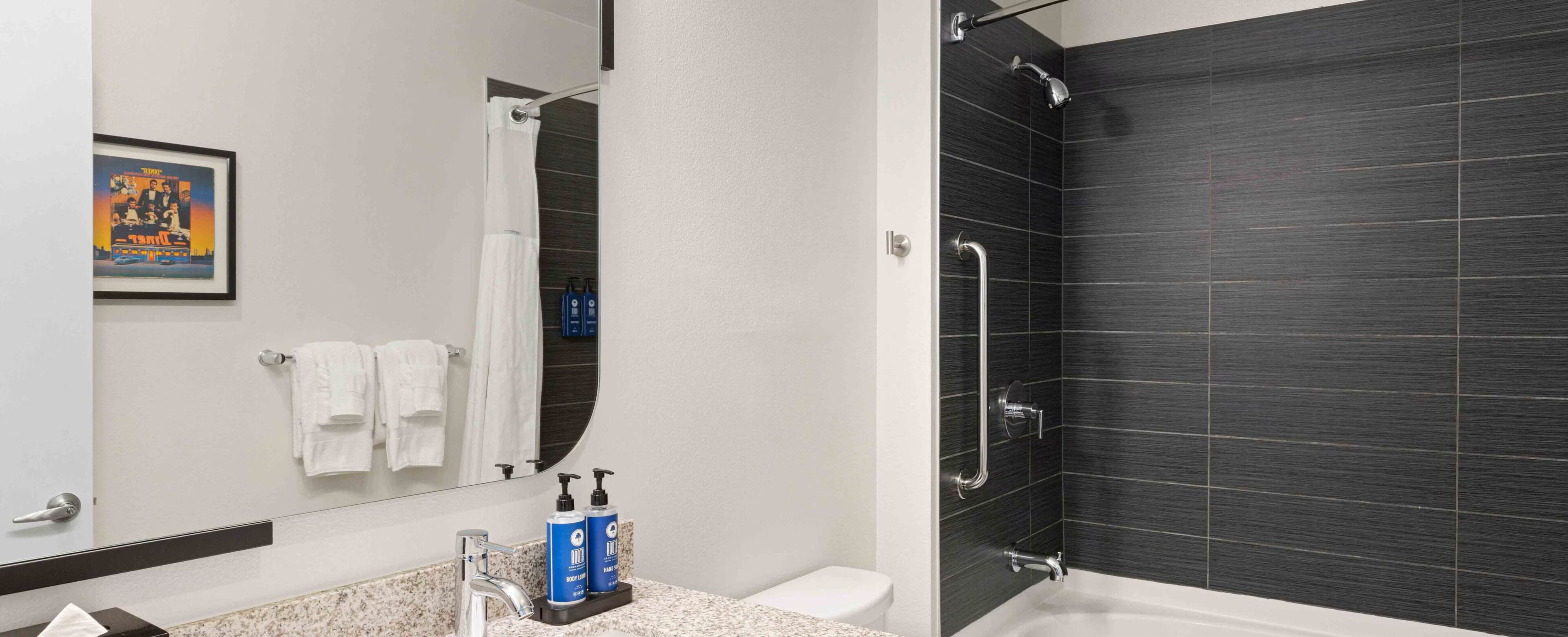 Un baño con ducha, lavabo con espejo y un cuadro en la pared.