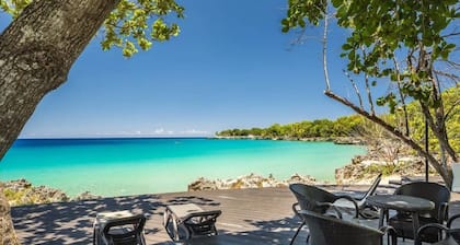 Hispaniola Beach 3A1 Condo 2 BD Oceanfront