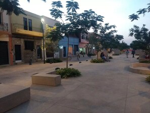 Property grounds
