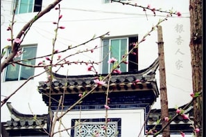 Unclassified image, 4 of 9, button - Qingyuan Yinxing Farm Stay (Wuyuan)