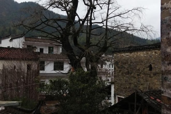 A traditional building with a tiled roof and a large tree in front.