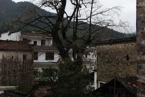 Unclassified image, 5 of 9, button - Qingyuan Yinxing Farm Stay (Wuyuan)
