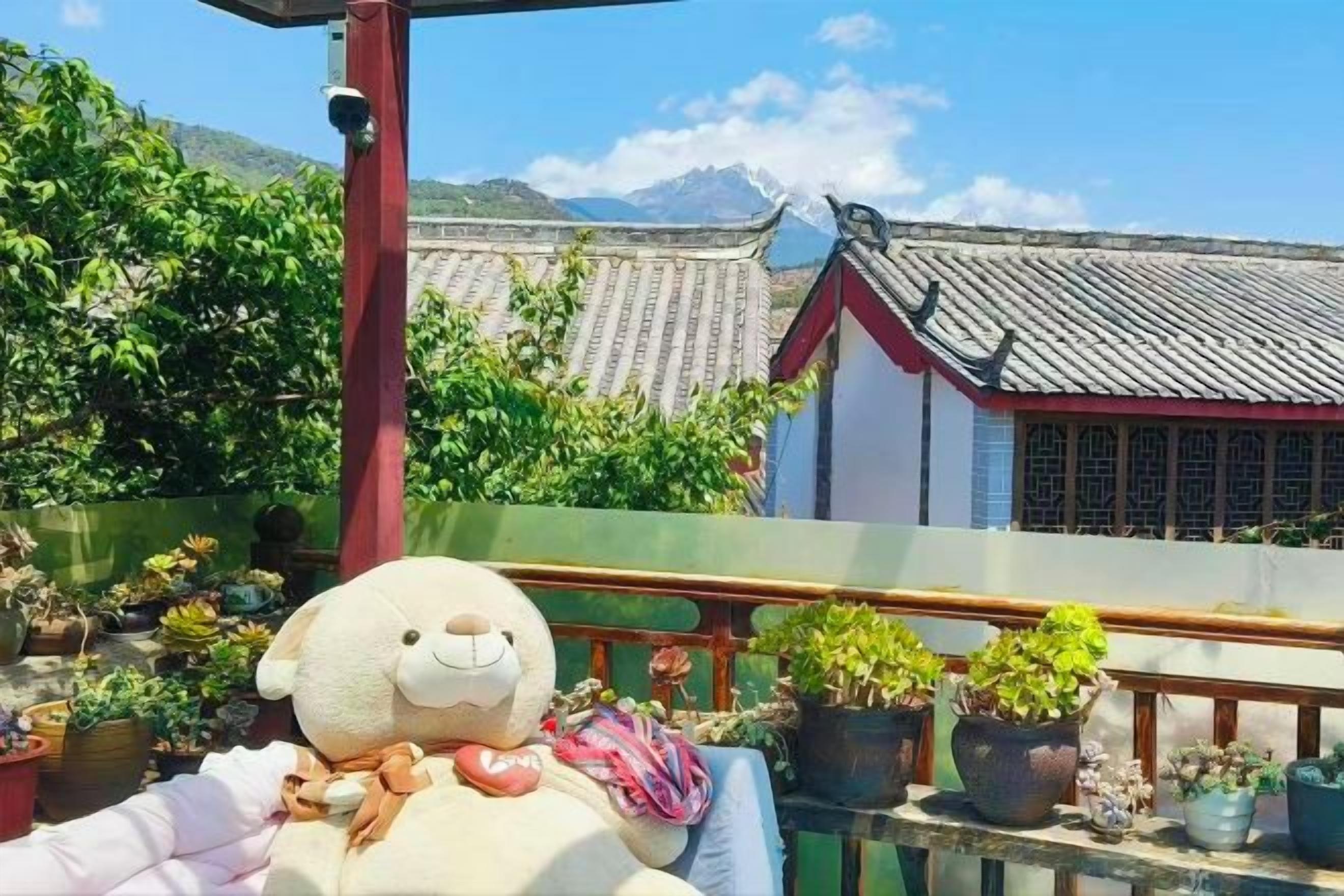 A balcony with potted plants and a teddy bear.