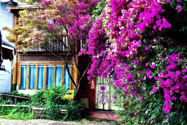 Un edificio tradicional con fachada de madera y un balcón, rodeado de vegetación exuberante y coloridas flores de buganvilla rosa.