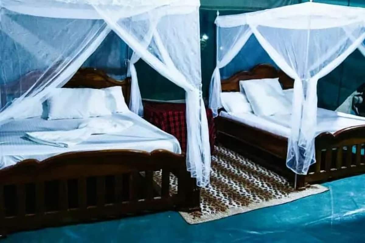 Two wooden beds with white bedding and mosquito nets, a patterned rug, and a blue floor.