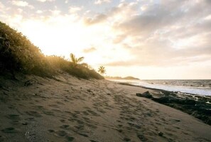 En strand med fodspor, der fører hen til vandet, palmer og en solnedgang.