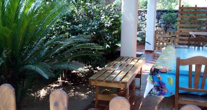 Experience the sea in the center of Palinuro