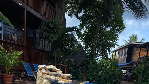 Piscina com cascata, cercada por espreguiçadeiras e plantas em vasos.