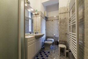 Shower, hair dryer, bidet, towels