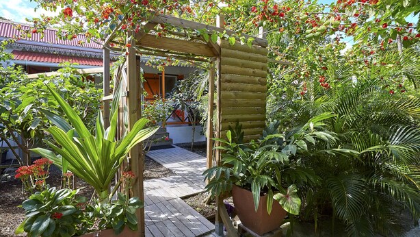 Una pérgola de madera con plantas trepadoras y flores, rodeada de plantas en macetas y un sendero.