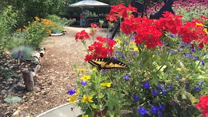 A garden with a variety of colorful flowers, a gazebo, and a tripod. - Wildlife, Nature, Glamp 1 (Cave Junction)