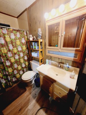 Une salle de bain avec un plancher en bois, des toilettes, un lavabo avec un miroir au-dessus, et une étagère contenant des articles de toilette.