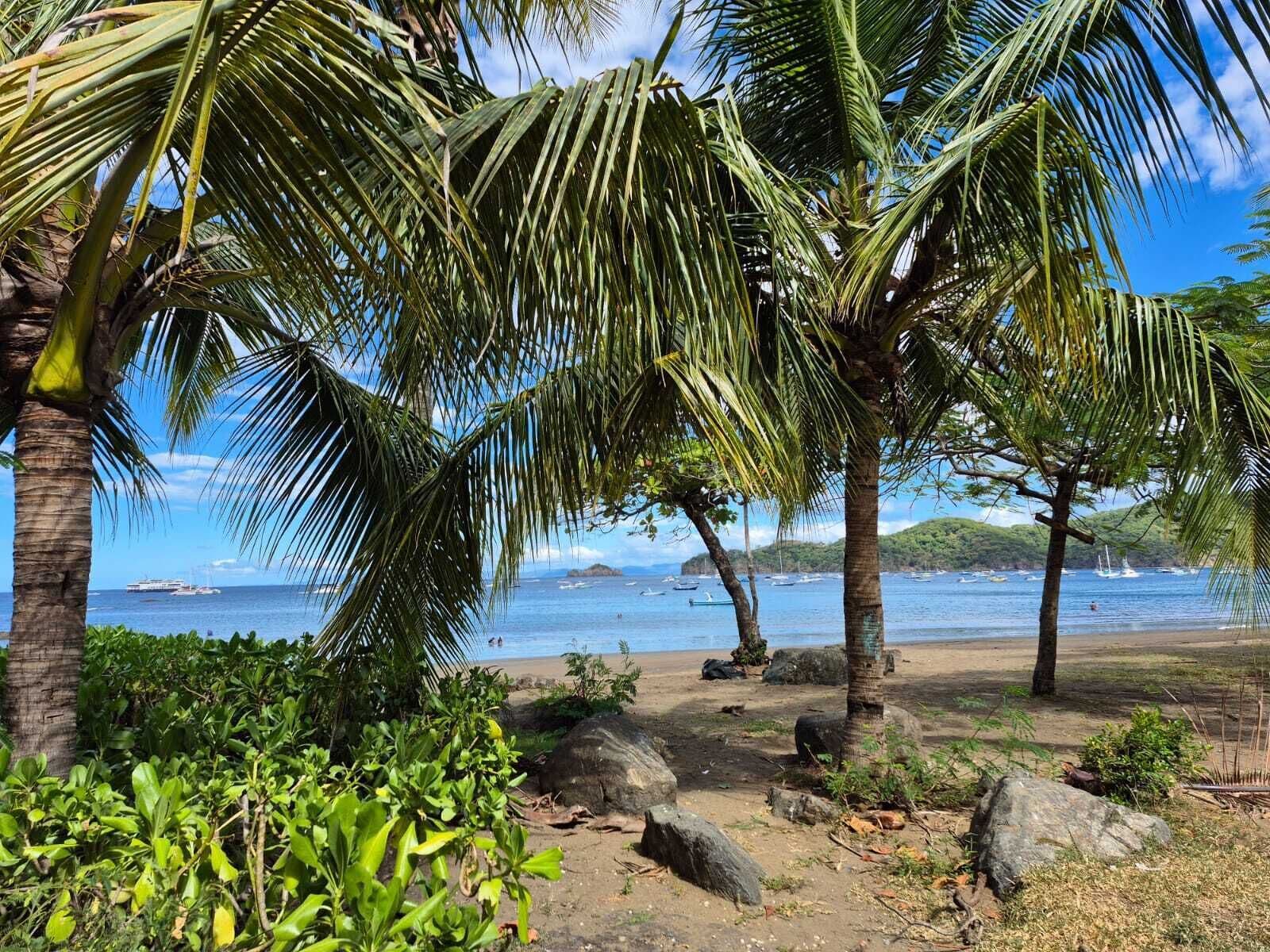 Chaises longues, serviettes de plage