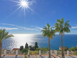 A coastal view with palm trees, a clear sky, and a bright sun.
