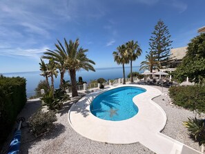 A pool with a unique shape, surrounded by palm trees and a view of the sea.