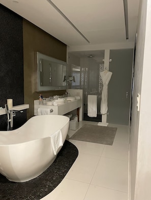 Shower, hair dryer, bidet, towels