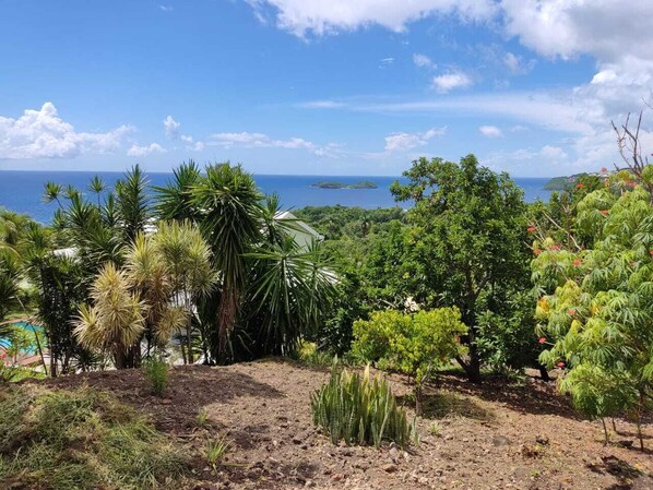 Property grounds - Telecommuting and fun in the sun with a beautiful sea view (Bouillante)