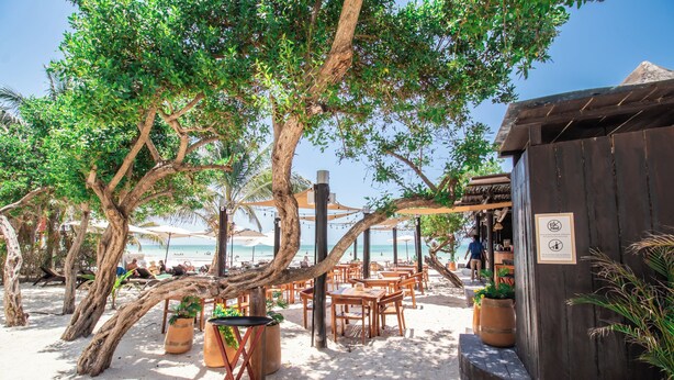 Un restaurant situé en bord de mer, avec une terrasse, des tables et des chaises en bois, entouré d’arbres et offrant une vue sur l’océan.