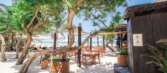 HAU Holbox Beach Front